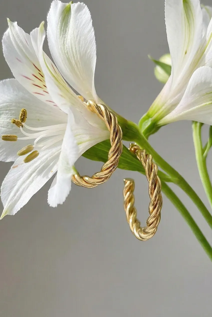 Boucles d'oreilles posées — Exemple Prompt Studio