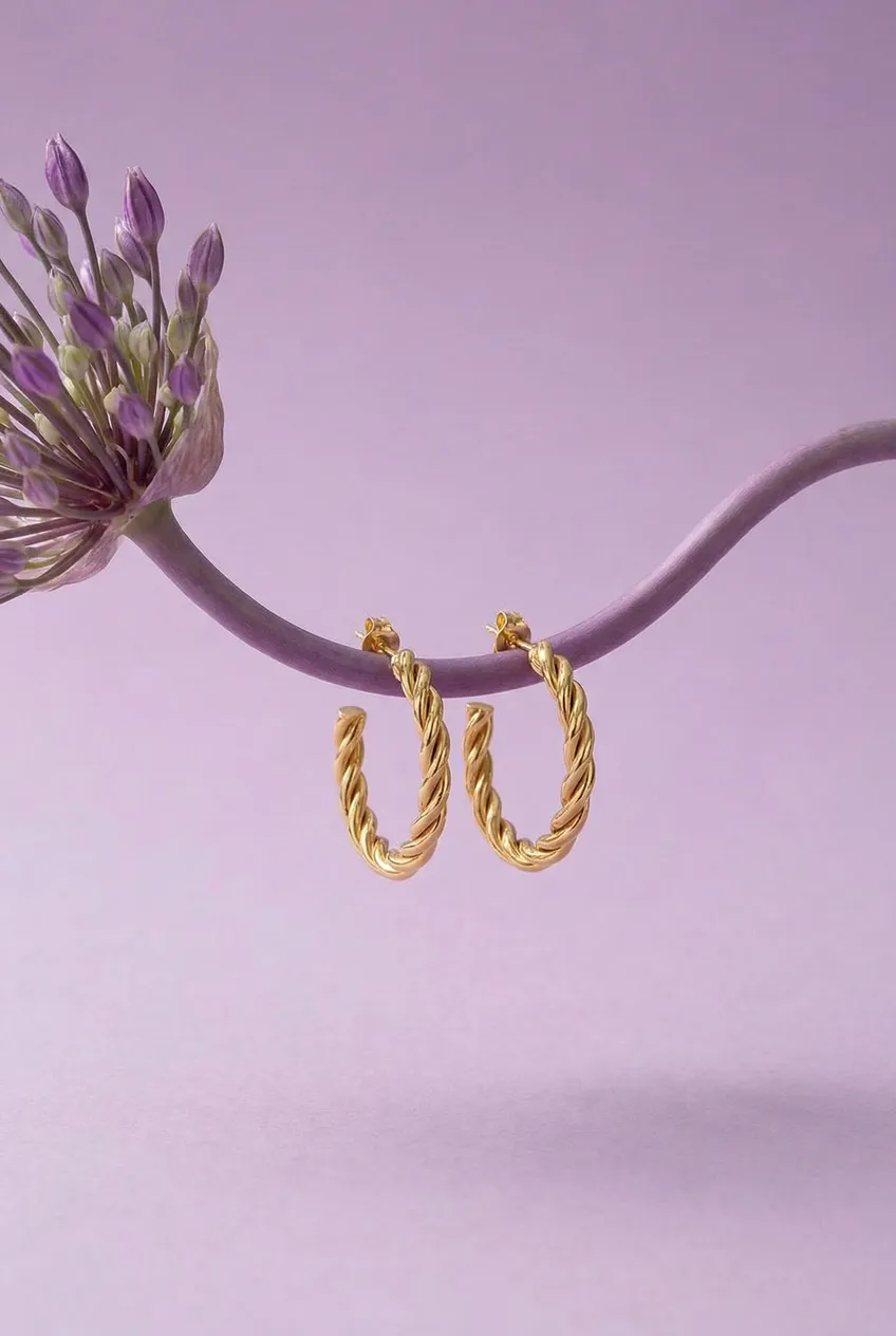 Boucles d'oreilles posées — Exemple Prompt Studio