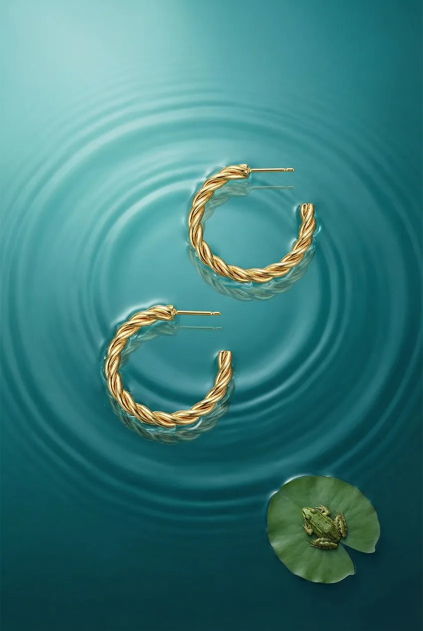 Boucles d'oreilles posées — Exemple Prompt Studio