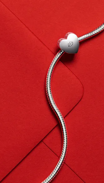 Bracelets posés — Exemple Prompt Studio